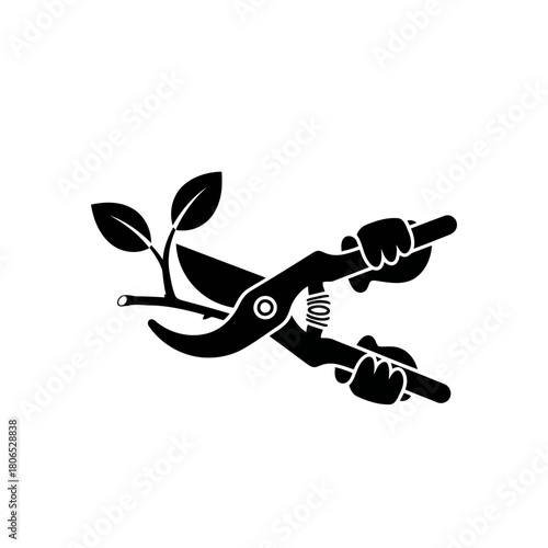 Pruning shears cutting a branch with leaves isolated on, a tool used in gardening and landscaping for trimming plants