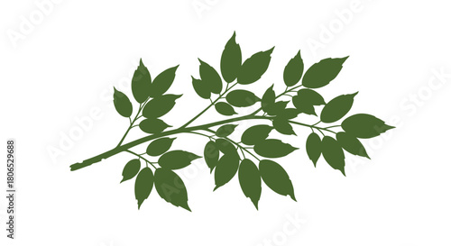 Botanical illustration featuring a sprig of leaves rendered in a muted olive green hue against a