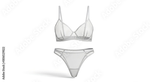 Sheer lingerie set isolated on white background for display