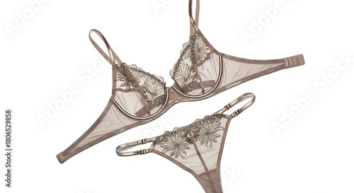 Elegant lingerie set isolated on white background