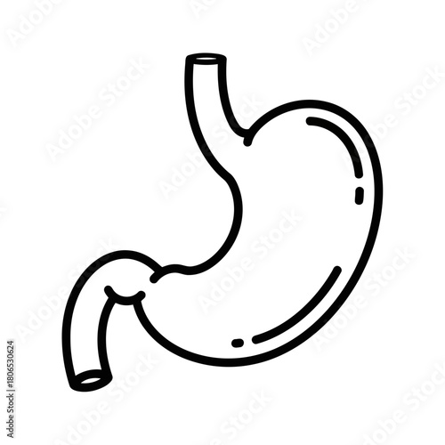 Human stomach doodle icon isolated on, a simple and minimalist vector illustration of the digestive organ in a handdrawn style
