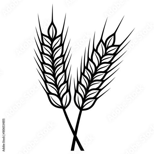 Illustration of wheat isolated on, representing harvest, grain, and agricultural abundance