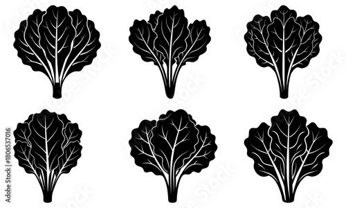 Fresh leafy vegetables isolated for healthy eating and vegan lifestyle, perfect for organic food promotion and dietary designs, originally a vector graphic