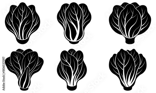 Six black and white bok choy illustrations arranged in two rows on a white background vector art