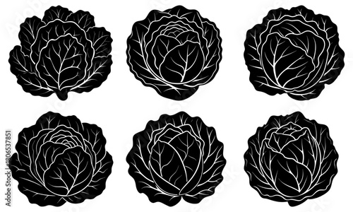 Six black and white cabbage heads with detailed leaf venation in a symmetrical arrangement on white
