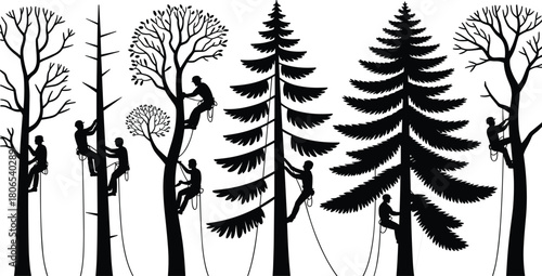 Silhouettes of arborists climbing and pruning different trees using ropes and harnesses in black and white illustration