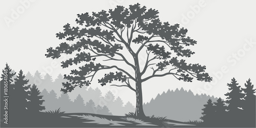 Silhouette of a large deciduous tree standing tall in a misty forest landscape