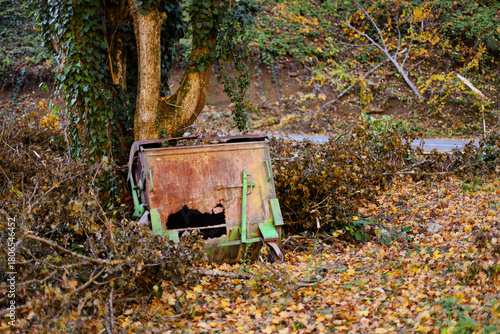 Old rusty garbage container in nature