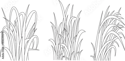  Grass Icon Set . Hand drawing line vector.