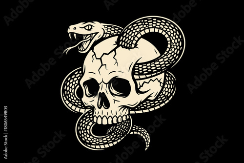 Skull and Snake Illustration.