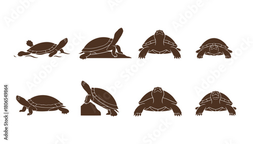 Turtle and Tortoise Reptile Vector Silhouettes: Set of Brown Icons of Shell-Covered Animals in Different Poses, Front View and Profile