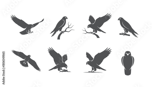 Falcon and Hawk Predator Bird Vector Silhouettes: Set of Icons in Flight, Perching, and Catching Prey for Wildlife Design