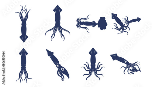 Squid Cephalopod Sea Creature Vector Silhouettes: Set of Monochrome Icons in Various Poses Including Swimming, Hunting, and Releasing Ink