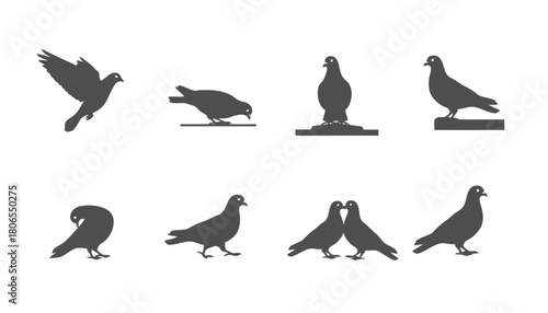 Dove and Pigeon Bird Vector Silhouettes: Set of Grey Icons in Various Poses Including Flying, Perching, and Standing on Ledges