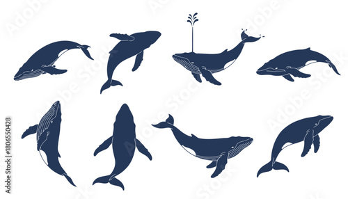 Set of Humpback Whale Icons Vector Illustration, featuring Large Marine Mammal Silhouettes in Various Poses like Diving, Spouting, and Breaching
