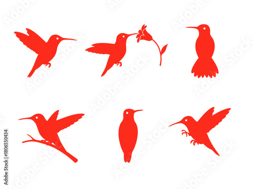 Collection of Hummingbird Icons Vector Illustration, featuring Small Bird Silhouettes in Various Poses like Flying, Feeding, and Perching in Red Color