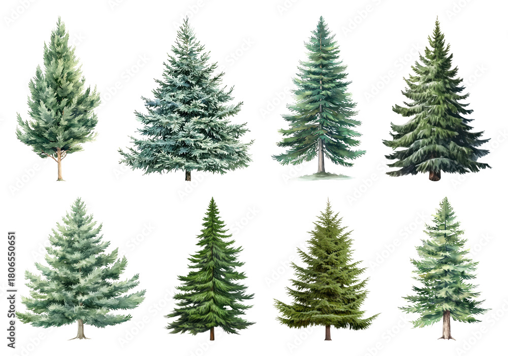 Obraz premium PNG Diverse evergreen tree illustrations, element set on transparent background