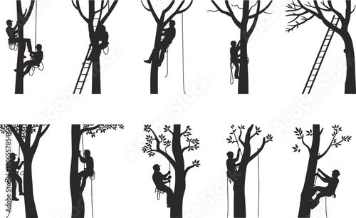 Tree climber arborist silhouettes working with ropes and ladders, professional tree trimming, pruning and maintenance, black and white illustration set