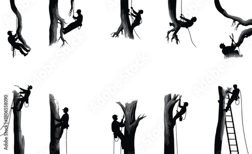 Tree climber arborist silhouettes working with ropes and ladders, professional tree trimming, pruning and maintenance, black and white illustration set