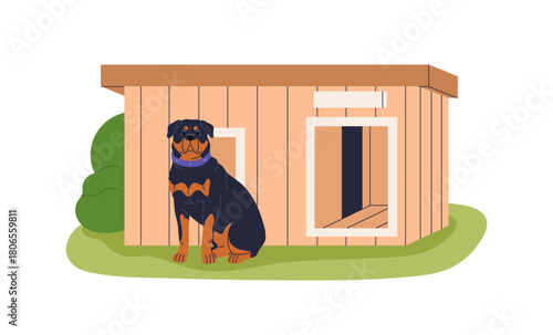Dog sitting, watching near kennel in yard. Rottweiler, guard breed, watchdog, canine animal service outdoors. Guardian doggy during surveillance. Flat vector illustration isolated on white background
