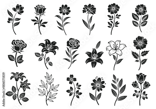A collection of monochrome floral illustrations featuring various flower types