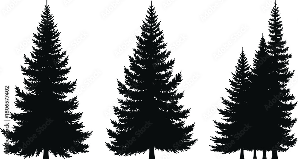 Obraz premium Conifer tree silhouette vector set, pine and fir shapes, black forest icons, nature illustration for stock content, isolated evergreen graphics