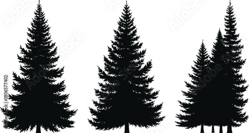 Conifer tree silhouette vector set, pine and fir shapes, black forest icons, nature illustration for stock content, isolated evergreen graphics