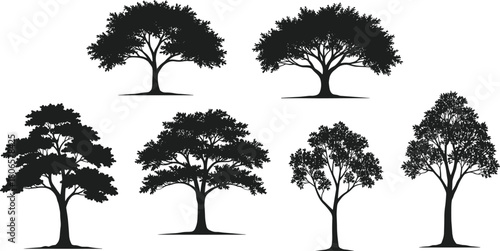 Tree silhouette vector set, diverse canopy shapes, black tree icons, nature illustration for stock content, isolated forest elements, botanical design