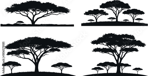 Acacia tree silhouette vector set, African savanna landscape, black tree icons, nature illustration for stock content, isolated botanical graphics