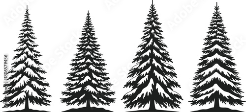 Evergreen tree silhouette vector set, pine and fir shapes, forest illustration, black tree icons for stock content, isolated nature graphics
