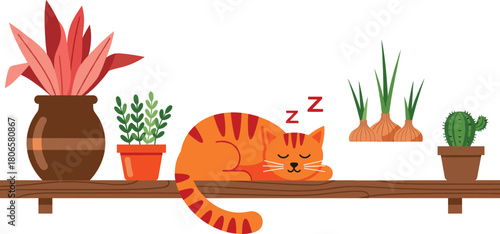 Cute Tabby Cat Sleeping on Wooden Shelf with House Plants Vector Illustration, Cozy Home Decor.