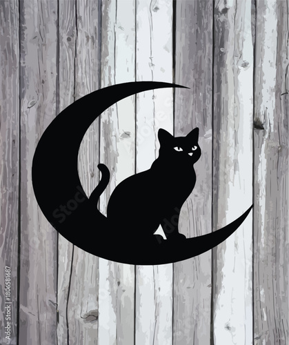 Black cat on a wooden door
