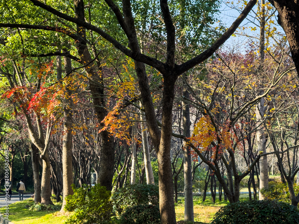 Naklejka premium Captivating Autumn Colors in a Serene Urban Park Setting