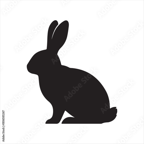 black rabbit vector illustration