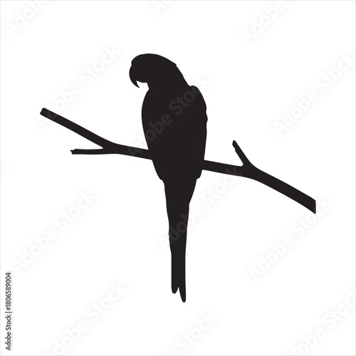 vector illustration of a black parrot