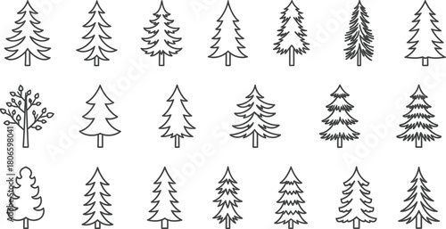 Set of various trees with different shapes and sizes, isolated on white background