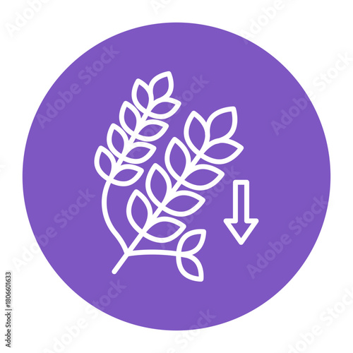 Low Carb Diet Icon