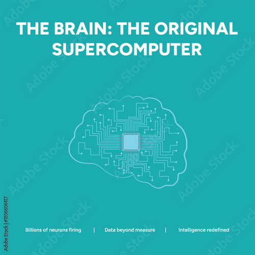 The brain the original supercomputer with data interconnection