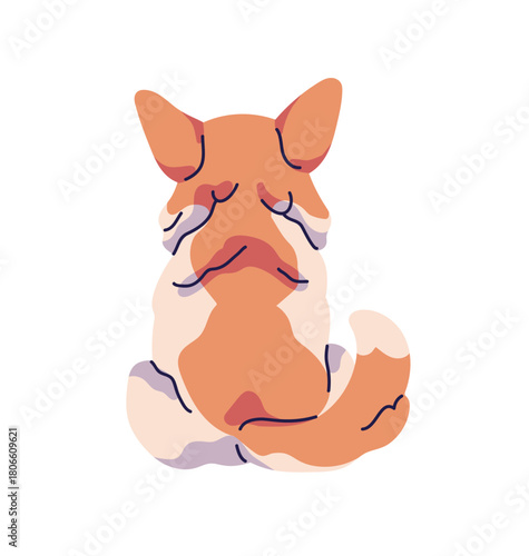 Corgi with wagging tail sits back view. Turned away cute fluffy toy dog, funny puppy. Backside of little pup with big ears. Amusing pet, domestic animal. Flat isolated vector illustration on white