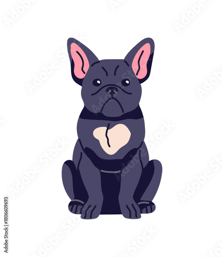 Happy French bulldog with amusing muzzle sits. Front view of adorable little dog. Cute pup with black coat. Funny pet, domestic animal has a rest. Flat isolated vector illustration on white background