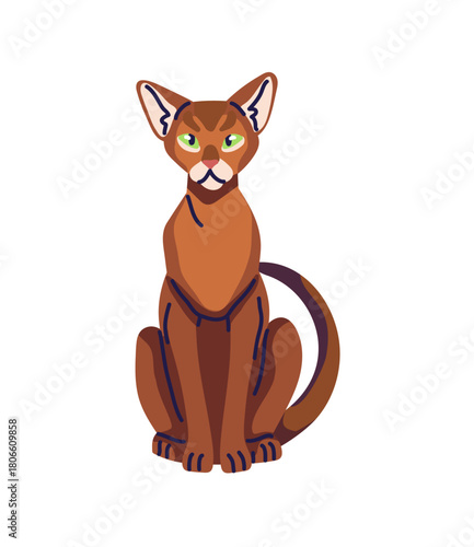 Cute kitty of Abyssinian breed sits. Abys cat with ruddy coat relaxes. Happy kitten with adorable muzzle has a rest. Funny pet, domestic animal. Flat isolated vector illustration on white background