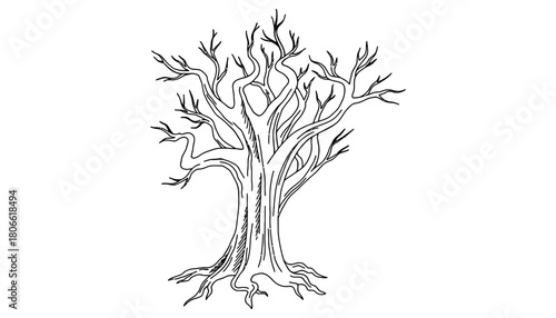 A bare tree with many branches and roots in black and white outline