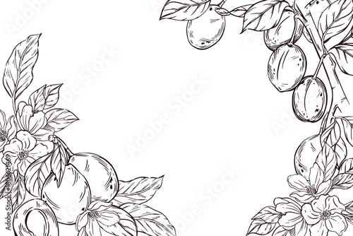 Vector frame of ripe plums, prunes, leaves and tree branches. All objects are hand-drawn in vector. The illustration is perfect for printing on food packaging, cosmetics, kitchen textiles.