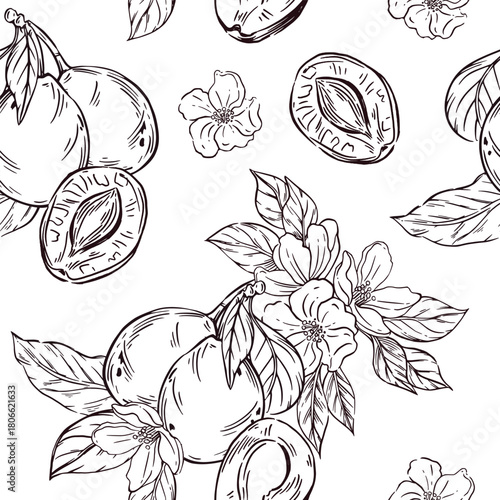 Seamless vector pattern of plums, prunes, leaves and flowers of fruit trees. All objects are hand-drawn. The illustration is perfect for printing on fabric, paper, for packaging dried fruits.