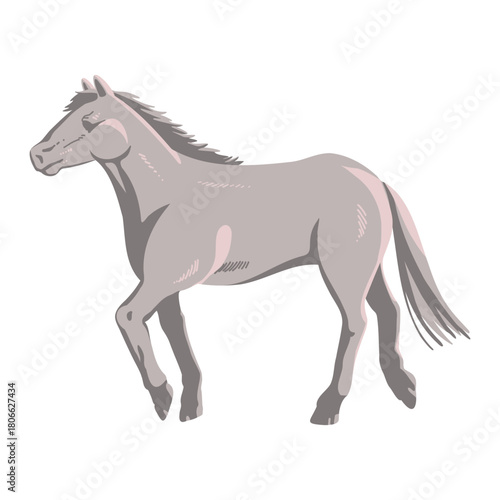 写実的な白馬のイラスト