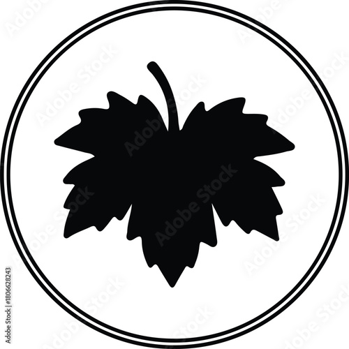 Illustrator Sycamore leaf black within double circle border Silhouette vector