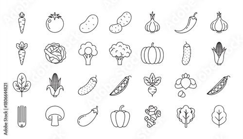 Vegetable Icon Set – Fresh Produce, Healthy Eating, Vegan and Vegetarian Food Outline Illustrations