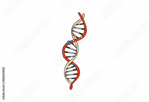 Artistic depiction of a DNA double helix strand in a simplified color illustration highlighting its structure and the concept of genetics at a molecular level