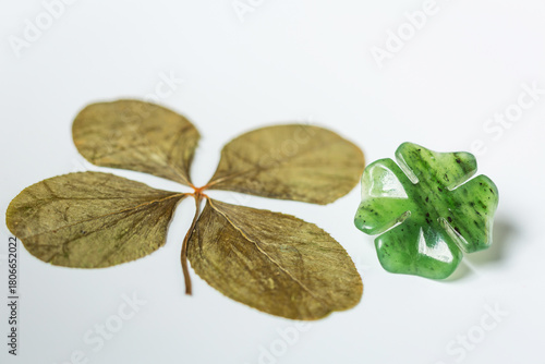 Two four-leaf clovers on background