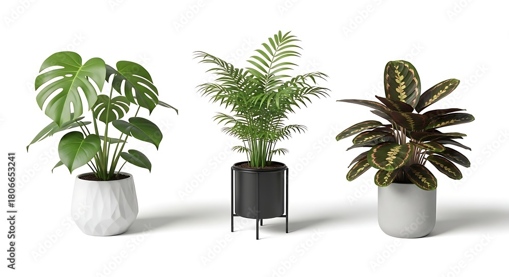 Obraz premium A curated collection of popular indoor plants like Monstera, Palm, and Calathea in modern decorative pots